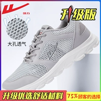 Серый [Введение в сетку]