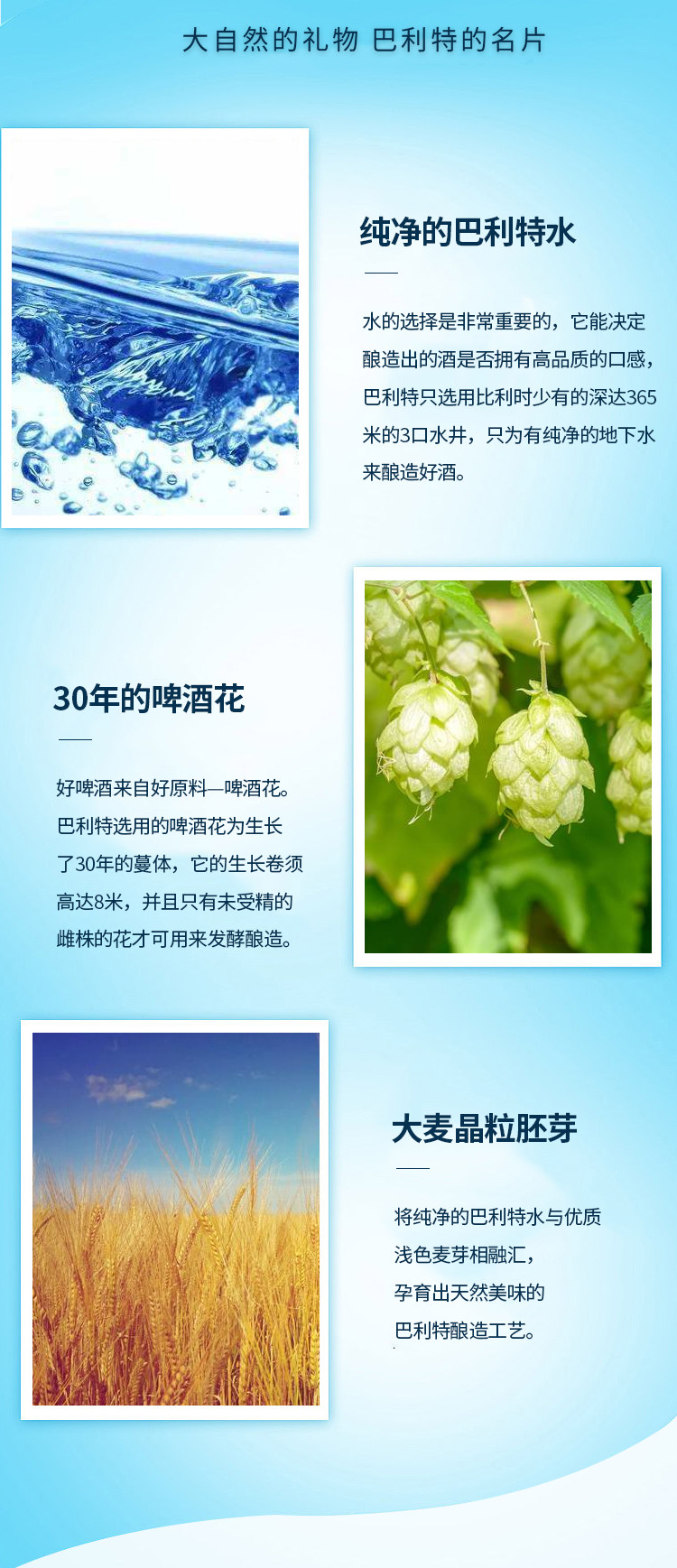 临期特价  比利时原装进口 Bruzer 巴利特比尔森黄啤 500mL*24罐 图2