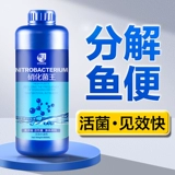 疯狂石头 Нитрифицирующие бактерии для аквариума, нитрифицирующие бактерии, королевские живые бактерии, стабилизатор очистки воды, рыбоводство с аквариумными пищеварительными бактериями