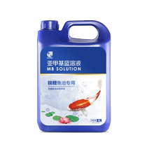 Methylene Blue Solution Brocade Carp Pool Rotten Tail Water Moldy Non Fish Drug White Dot Water Purification Fish Tank Water Quality Purifiers