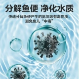 疯狂石头 Нитрифицирующие бактерии для аквариума, нитрифицирующие бактерии, королевские живые бактерии, стабилизатор очистки воды, рыбоводство с аквариумными пищеварительными бактериями