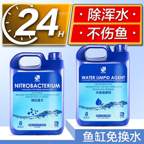 Nitrifying Bacteria Digestion Bacteria Fish Tank Fish Products Clear Water Purifying Agent Water Stabilizer Em Bacteria Nitrifying Bacteria