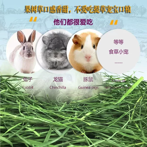 Высушенные фруктовые дерево