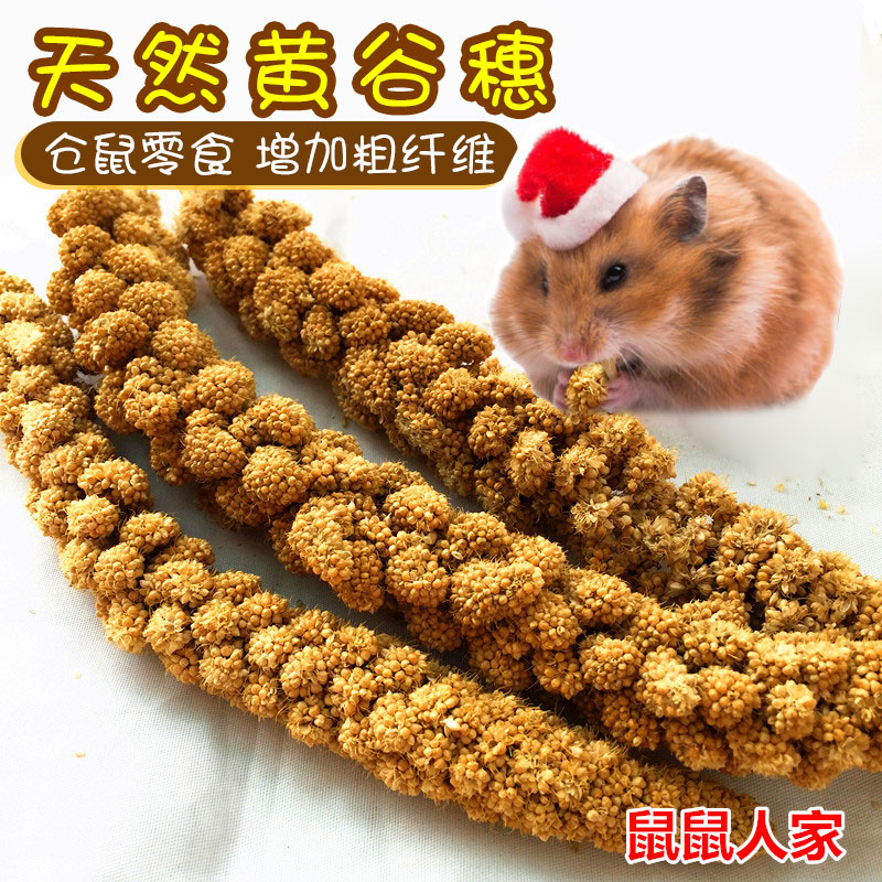 Natural Yellow Valley Ears 100g Golden Silk Bear Hamster Grain Parrot Grain Pine Rat Hamster Hamster Snacks Nutritious Food Feed