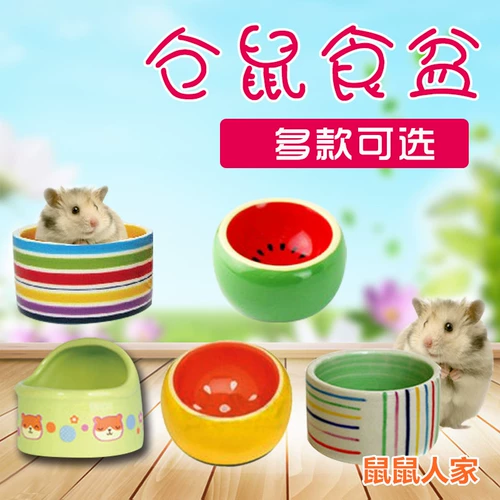 Хомяки золотой медведь бассейн пищевой чаша Спецификация пищевого бассейна образует рис рис, висящие молотки, продукты