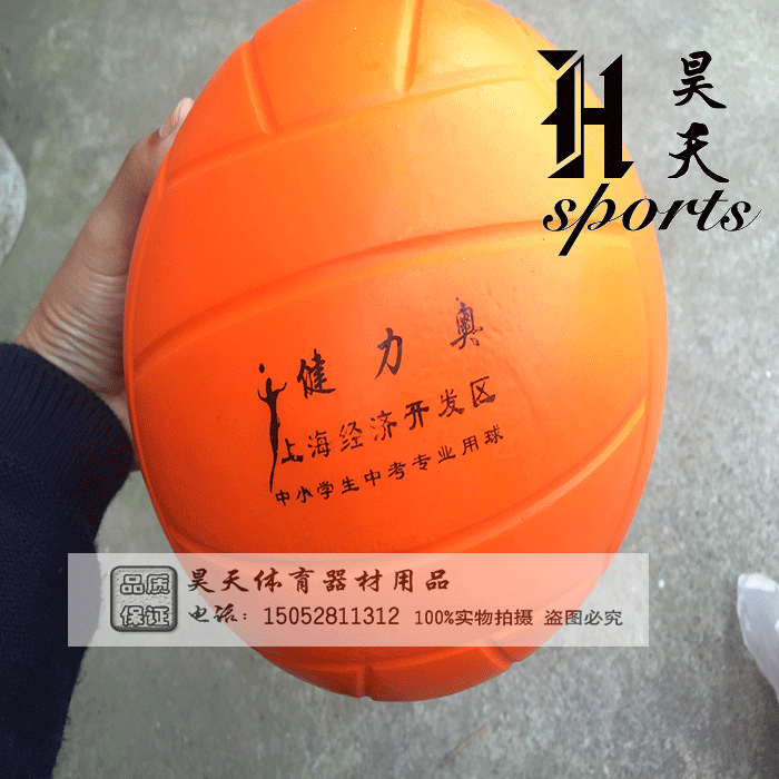 Ballon de volley - Ref 2012588 Image 3