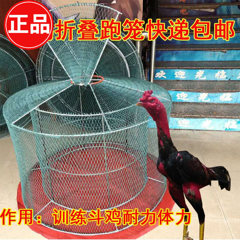 Cock fighting cage cockfighting cage folding cage cockfighting training domestic running cage fighting chicken training supplies running cage fighting cock