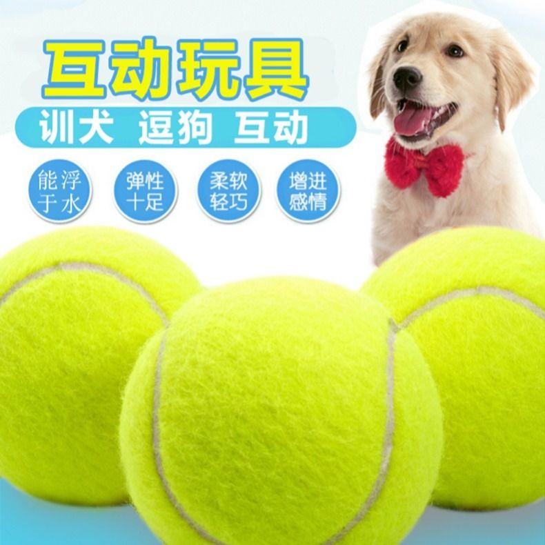 Dog toy bouncy ball puppies teething resistant Teddy Pomeranian puppy training ball golden retriever tennis pet supplies