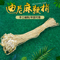 Dini Ma Kirin whip whip fitness whip whip whip whip whip whip whip whip whip