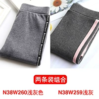 N38W260 светло -серый+N38W259 светло -серый