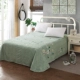 những người yêu thích thủy ngân Khăn bông phụ 100% cotton một mảnh dày mùa đông chà nhám tờ 2,0 mét 1.5m1.8 - Khăn trải giường