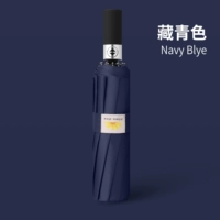 12 костей плюс зеленый атласный зонтик для лица на лице