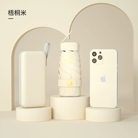 Zipper Box 60 % скидка, рис горячих медведей-вутонга