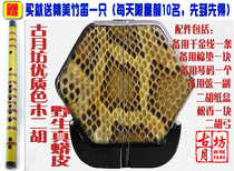 Guyue Square special offer Beginner boutique erhu popularization high-quality erhu factory direct sales low-cost sales