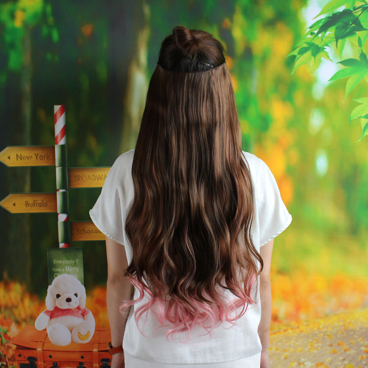 Extension cheveux - Ref 217317 Image 6