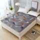 Nệm nệm 0.9m1 / 1,2 sàn / 1.5 / 1.8x1.9 * 2 bãi gấp trượt giường mềm nệm pad là mặt đất - Nệm