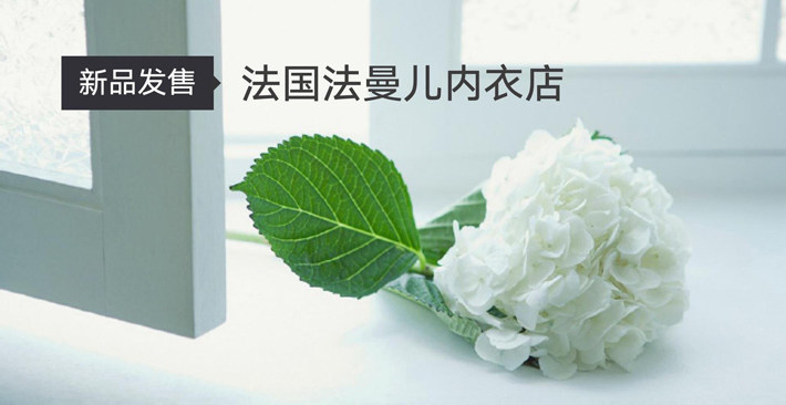 Coques pour soutien-gorge - Ref 822724 Image 4