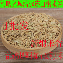 2021 Lianshan farmhouse self-produced porridge rice millet can now grind the new rice millet with Shell