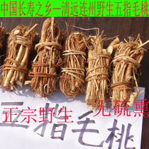 2021 new pure natural wild five fingers peach five claws Dragon Guangdong nourishing wine soup without adding