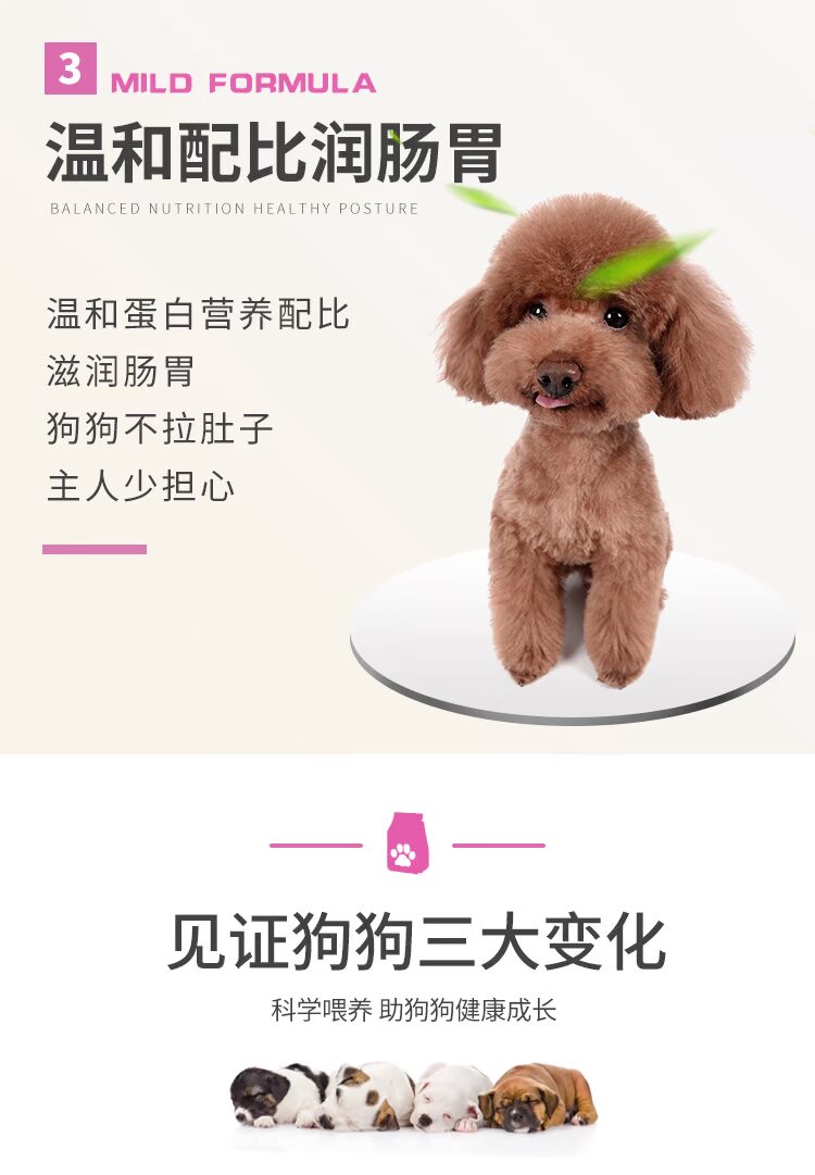 Thức ăn cho chó Aussie đa năng Bago hơn gấu Teddy chó con chó nhỏ với số lượng lớn 5 kg cố gắng tiêm chủng cho chó con thức ăn thức ăn thưởng cho chó