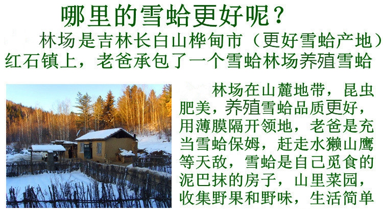 雪蛤同仁堂特级吉林蛙油