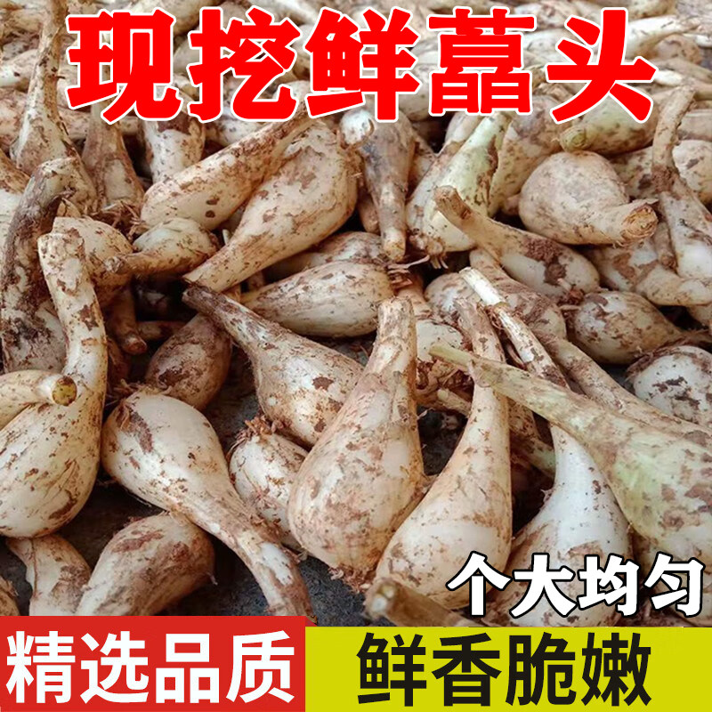 四川地道风味:藠头新鲜荞头蔬菜,农家自制泡菜,尝鲜必备!-葱类-淘宝好物网