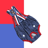 Два куска джинсового синего, чтобы отправить коробку с пет