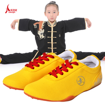 Tai Chi shoes Mens and womens canvas shoes Martial arts practice shoes Cattle tendon bottom non-slip kung fu shoes Mens training shoes Childrens martial arts shoes