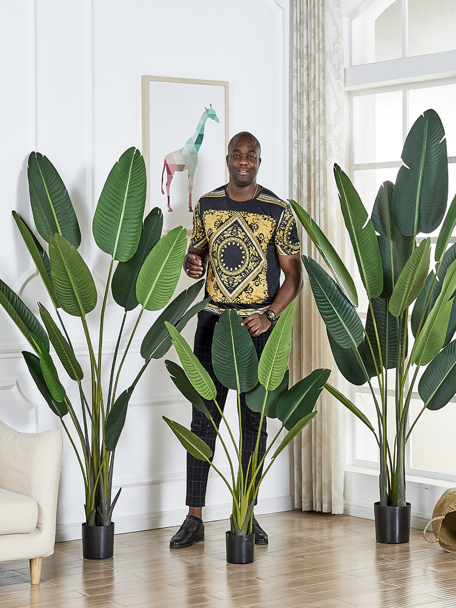 Large Nordic traveler Banana simulation green plant Bird of paradise potted turtle back taro living room ins wind plant desktop bonsai