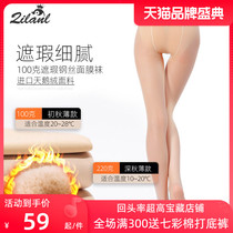 Light leg artifact autumn and winter water light socks non-slip pantyhose small stockings women plus velvet thickened nude spring and autumn steel stockings