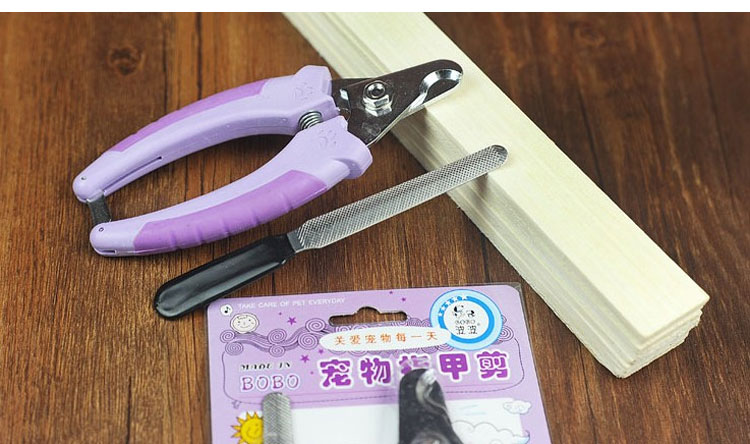 Pet làm sạch sản phẩm làm đẹp Bobo cắt móng tay kéo mèo và chó chung Teddy dog ​​kéo móng tay với liềm 	lược chải lông furminator