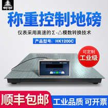 Big tree scale platform scale control cabinet switch loadometer 4-20MA ANALOG 0-10V electronic loadometer