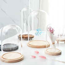 Filling block dust cover display box toy model glass collection box column spherical transparent shape desktop furniture