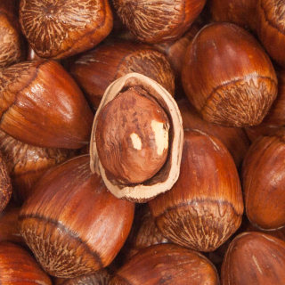 Xiwei northeastern fried large hazelnuts