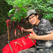 Stream taste 23 years fresh wild mountain ginseng Changbai Mountain Huanren Ginseng First-class forest ginseng Fresh ginseng belt soil Northeast specialty