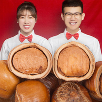 Creek taste Northeast wild mountain hazelnut nuts 500g 2020 fresh Tieling raw hazelnuts water leakage hand-pat fried
