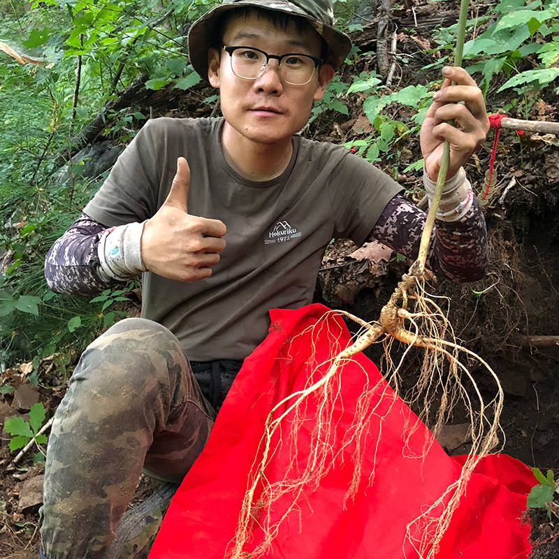 Creek flavor Changbai Mountain fresh ginseng 10 gr Huanren forest for 18 years
