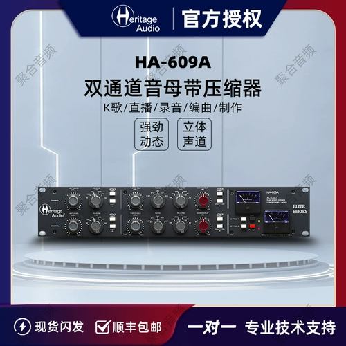 Heritage Audio HA-609A Двухканальная студия записи компрессора студии записи компрессоров