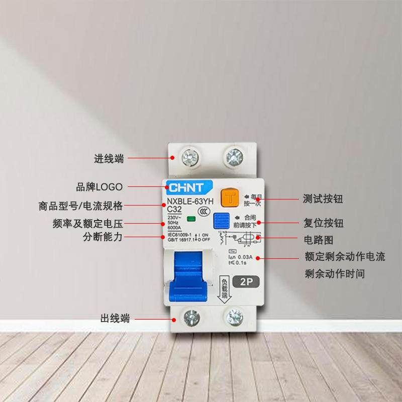 Chint Small Leakage Protector, Small Size Two-Pole Circuit Breaker, Compact Air Switch 32A/63A for Home Use