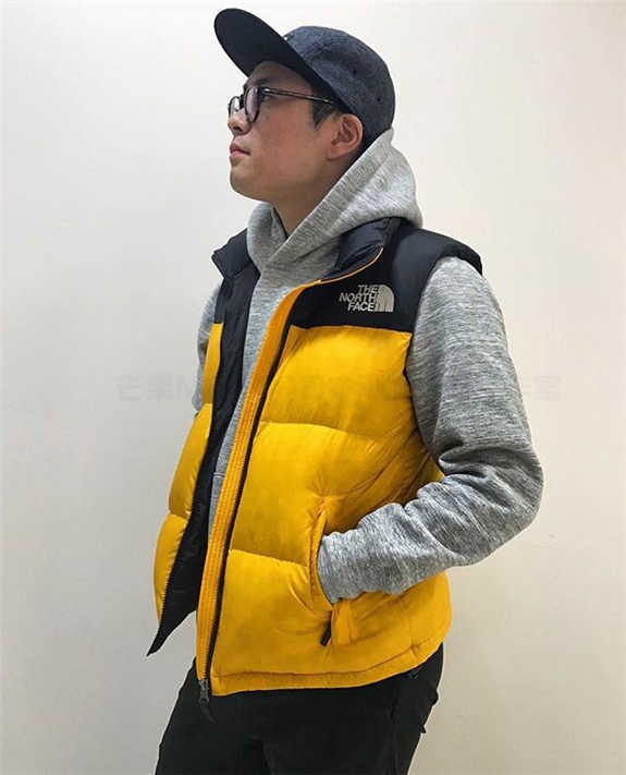 the north face novelty nuptse vest