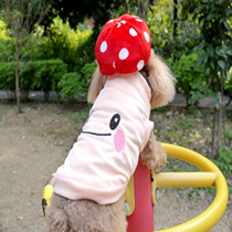 Young Dog Pet Clothing Teddy Beaume Biumo Bear Kokie Small Mushroom Head Dog Muggy Body Dress Kitty Warm Change Body Dress