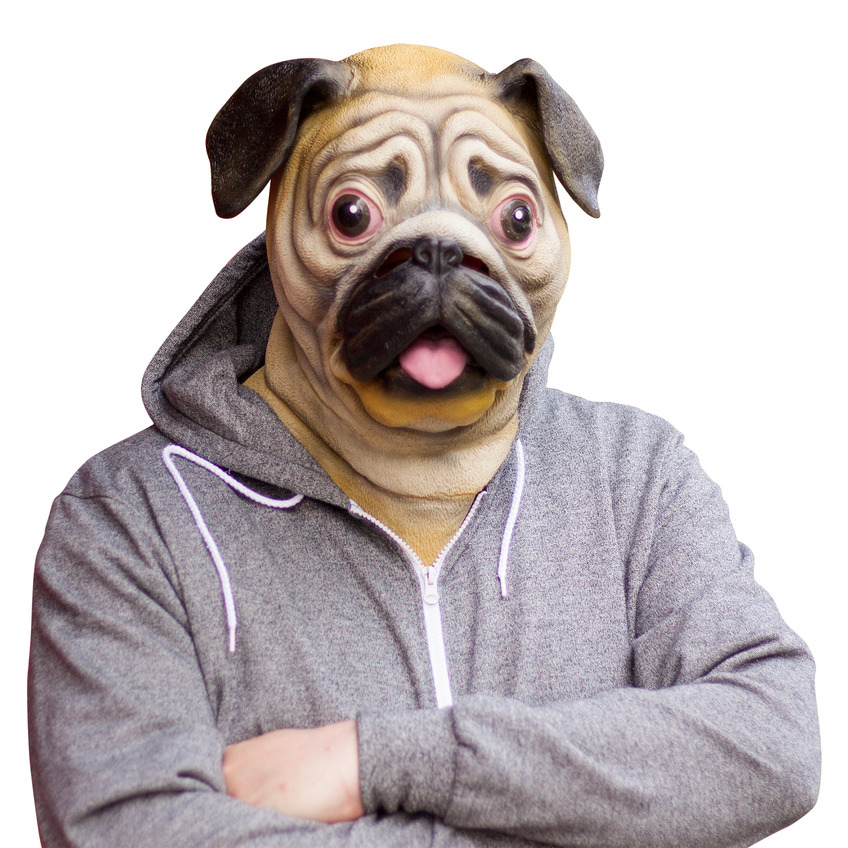 Realistic Fauna Bacon Dog Habha Dog Mask Mask Archie Realistic Latex Pug Mask