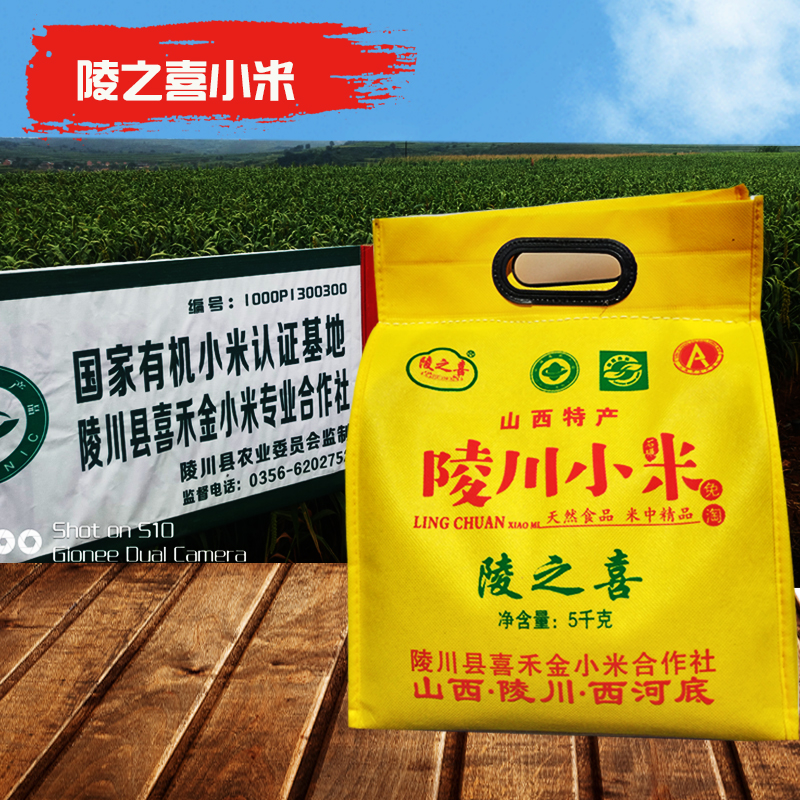 The joy of Lingchuan Mausoleum millet Shanxi millet Jincheng millet west river bottom millet moon rice baby rice 10kg
