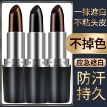 (Pregnant Woman available) Disposable Dye Hair Pen Stick Female lipstick Interim cover Dye Hair Cream Pure Plant Hair Dye