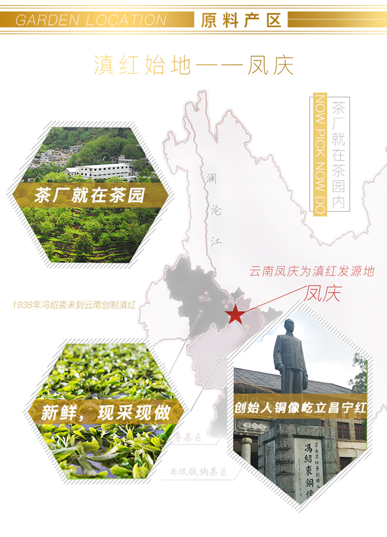 立顿红茶供应商 昌宁红 滇红茶 19年春茶 120g 图6