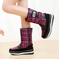 G12-Purple Plaid