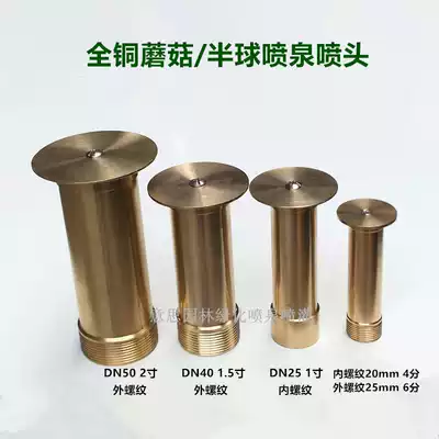 All copper 4 points 6 minutes 1 inch 2 inch mushroom nozzle fish pond landscape rockery hemisphere nozzle spray water pool fountain head