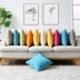 Lớn dày bông gối bìa đệm gối bìa sofa tựa lưng đệm thoải mái mà không có lõi nap Pashui - Trở lại đệm / Bolsters gối tựa lưng sofa cao cấp Trở lại đệm / Bolsters