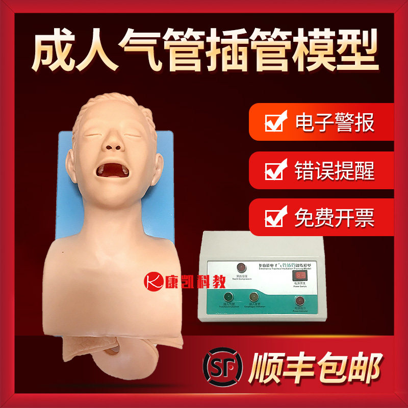 高级人体气管插管训练模型 带电子牙齿报警 成人急救训练教学模具