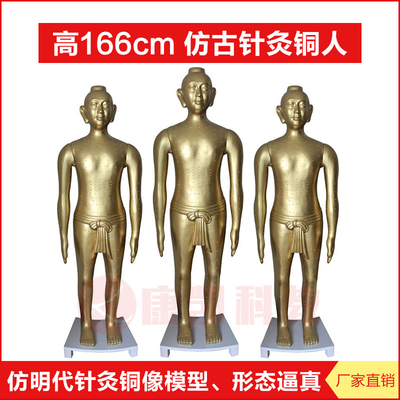 中医学用仿古针灸铜人166cm 全身展览针灸铜像人体模型 纯铜质感